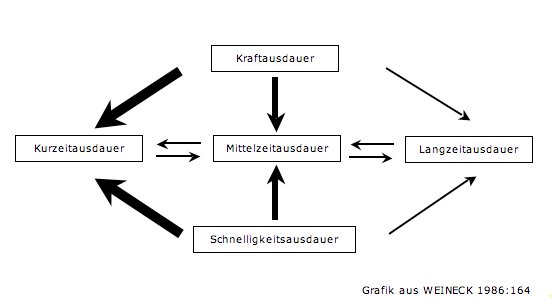 Abbildung aus der Originalarbeit, PDF-Seite 91